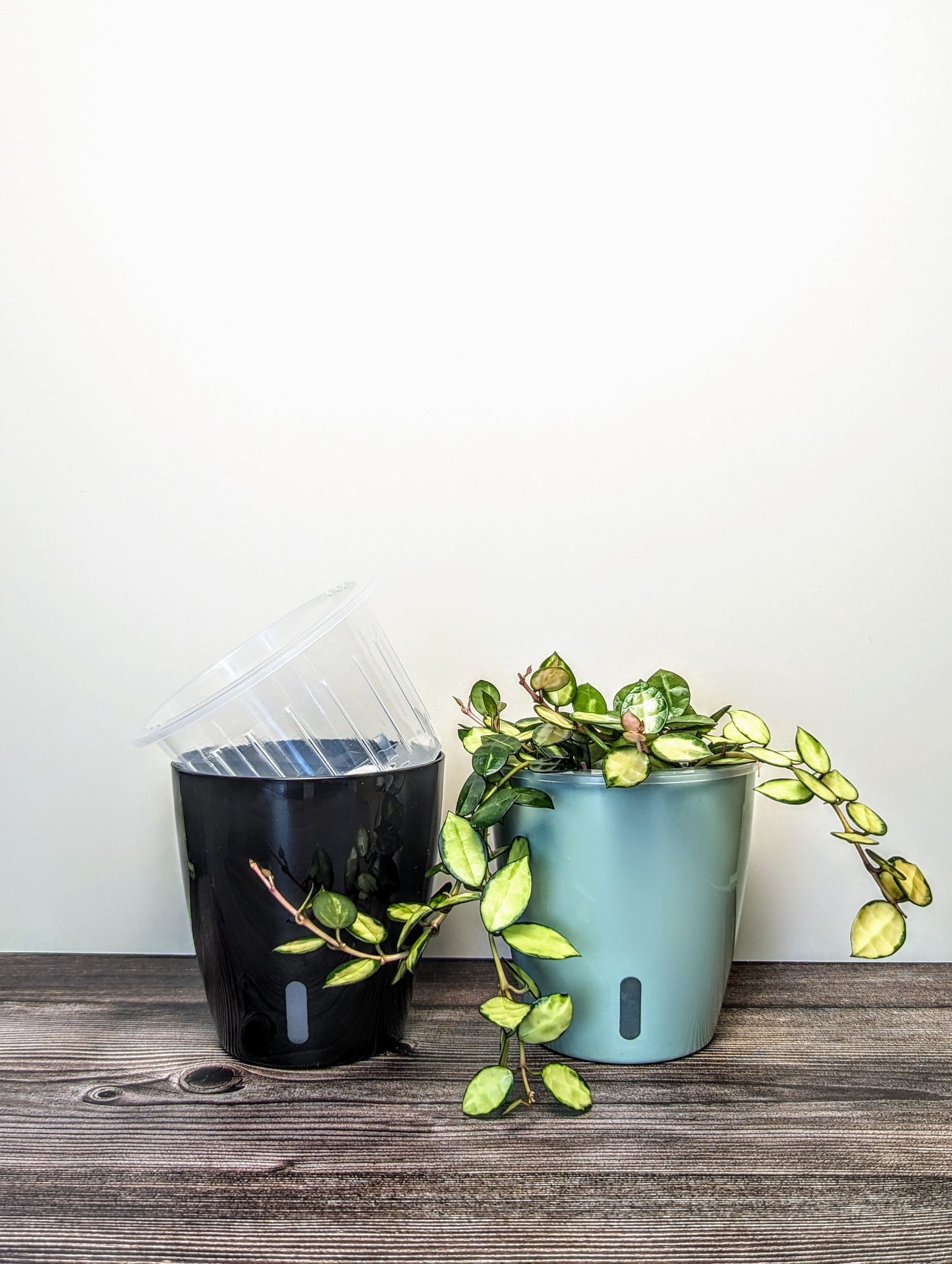 The Perfect Pot