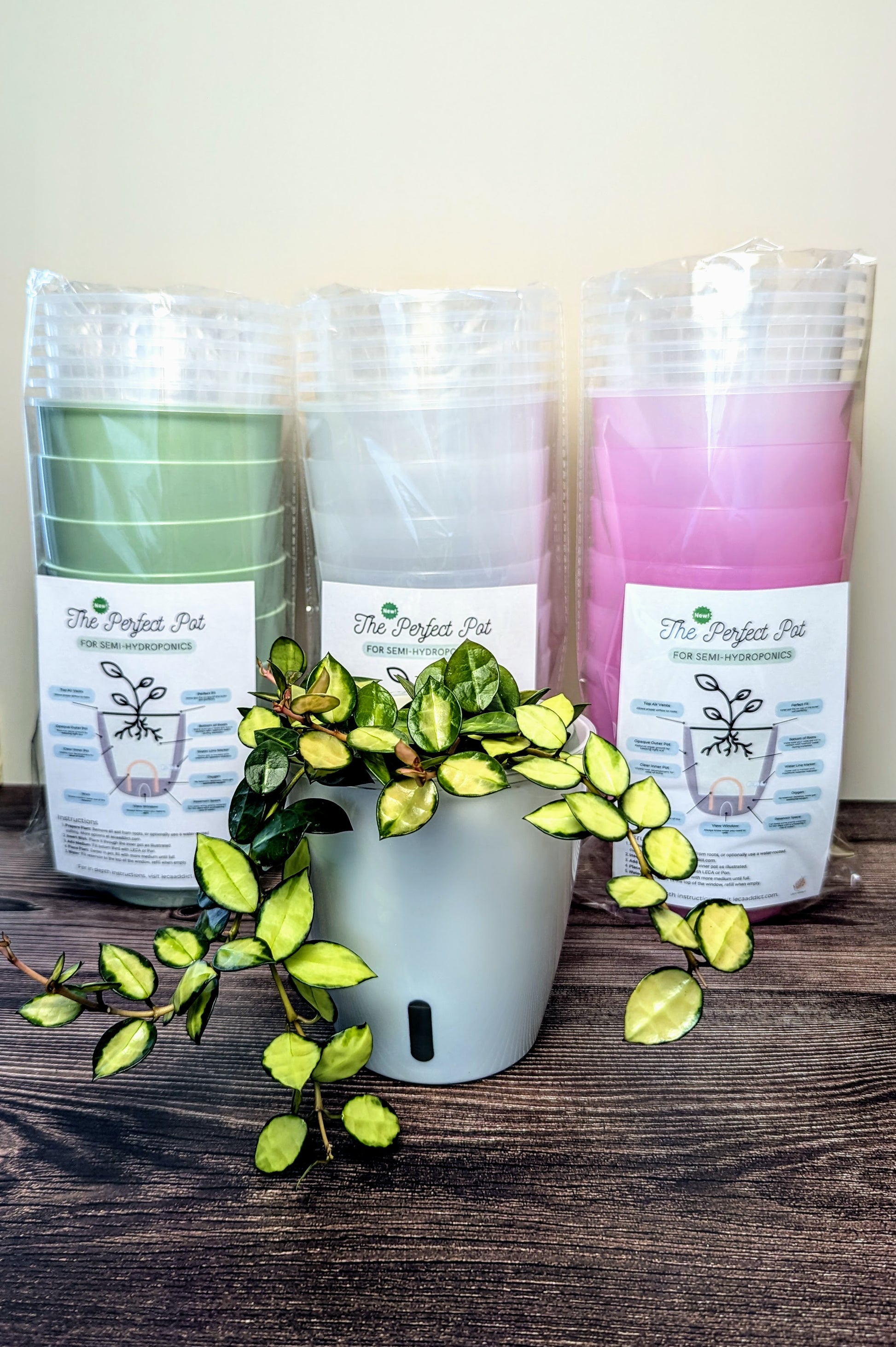 perfect pot plants The Perfect Pot – LECA Addict